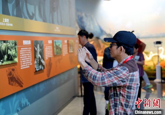 圖為臺商在祁連山國家公園生態(tài)科普館觀看墻面藝術(shù)圖文?！⊙Φ?攝