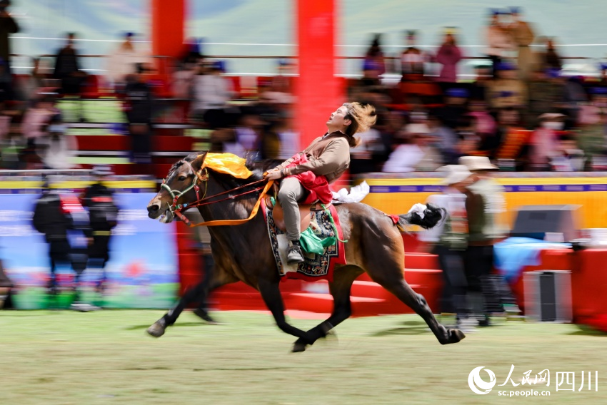 馬術(shù)表演現(xiàn)場(chǎng)。洛絨尼瑪攝