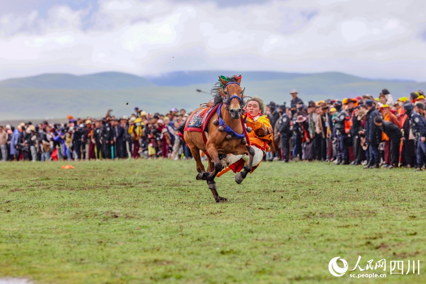 馬術(shù)表演現(xiàn)場(chǎng)。洛絨尼瑪攝