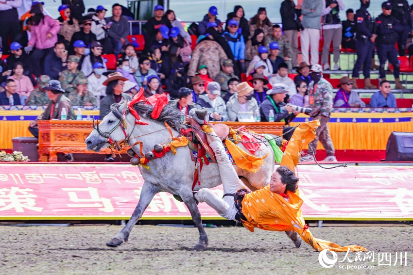 馬術(shù)表演現(xiàn)場(chǎng)。洛絨尼瑪攝