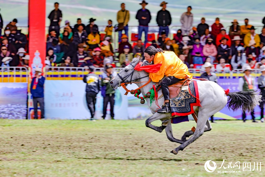 馬術(shù)表演現(xiàn)場(chǎng)。洛絨尼瑪攝