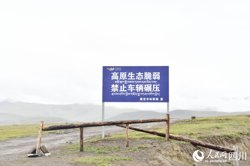 禁止車輛碾壓草原的提示牌。人民網(wǎng)記者 王洪江攝