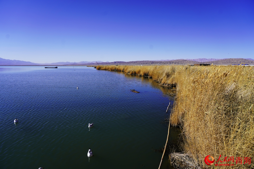 可魯克湖秋色如畫。人民網(wǎng) 陳明菊攝