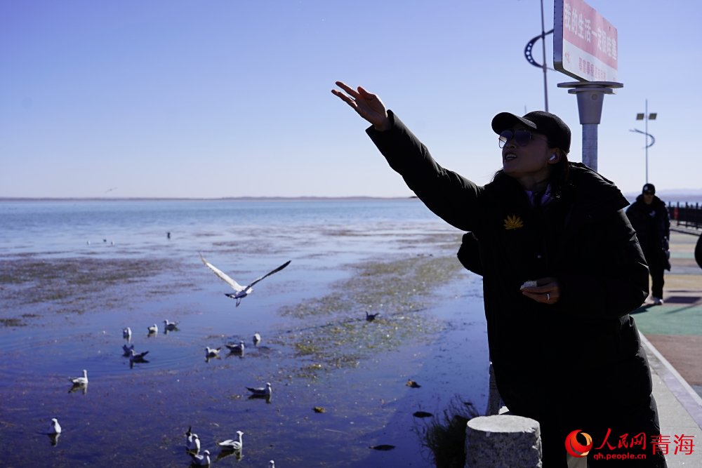 游客投喂水鳥。人民網(wǎng) 陳明菊攝