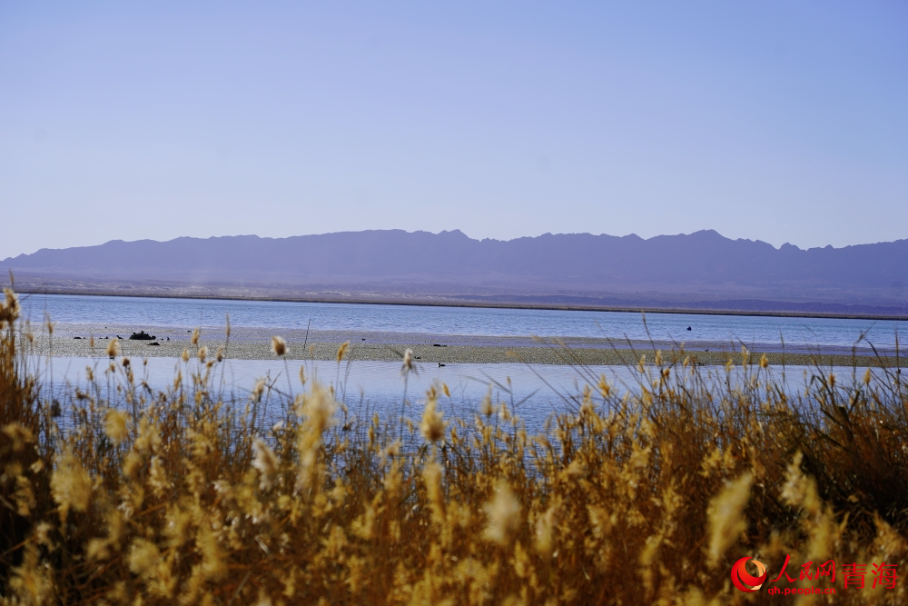 可魯克湖秋色如畫。人民網(wǎng) 陳明菊攝