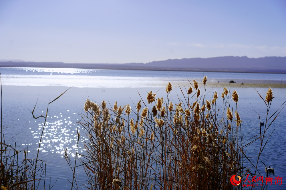 可魯克湖秋色如畫。人民網(wǎng) 陳明菊攝