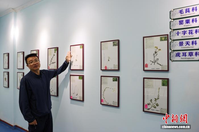 青海班瑪:自然科普館解鎖三江源生態(tài)“密碼”