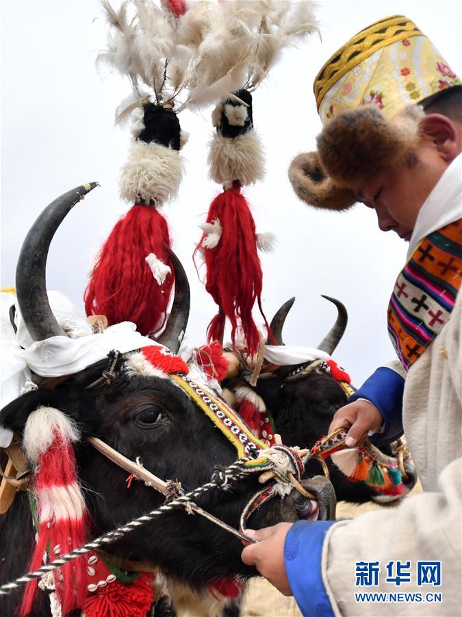 (經(jīng)濟)(2)西藏:春耕第一犁