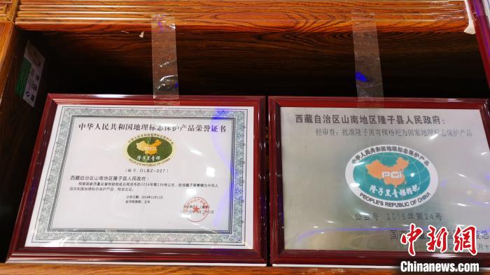 圖為2015年，隆子黑青稞成為中國國家地理標(biāo)志保護(hù)產(chǎn)品。　張偉 攝