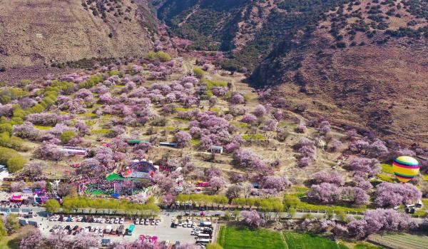 世外桃源！一組圖告訴你，西藏林芝桃花能有多美