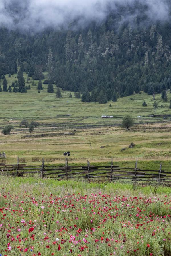 跟我，踏上最美“景觀大道”