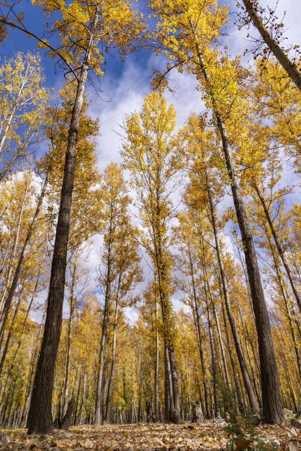 跟我，踏上最美“景觀大道”