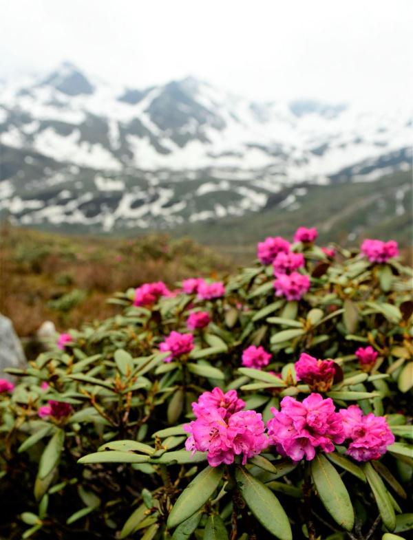 跟我，踏上最美“景觀大道”