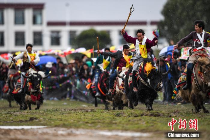圖為拉薩郊縣的賽馬節(jié)(資料圖)。何蓬磊 攝