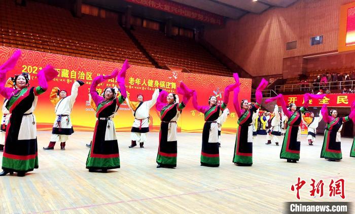 圖為西藏老年舞蹈隊齊跳傳統(tǒng)鍋莊舞?！∝暽＠?攝