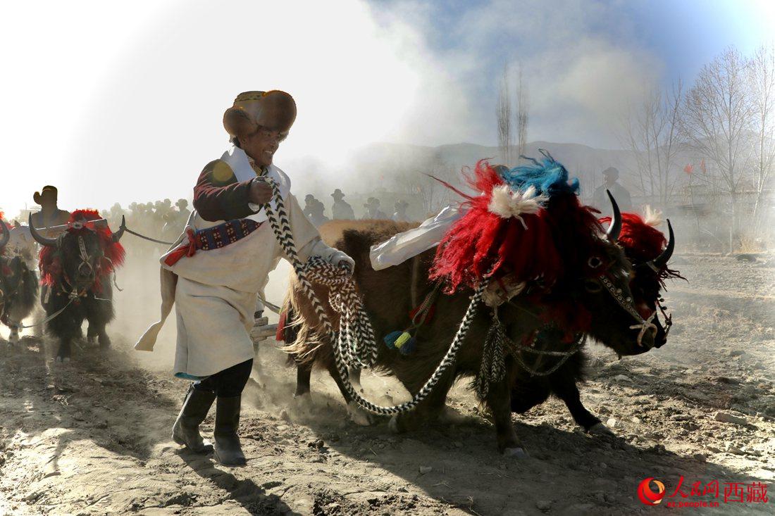 山南市扎囊縣扎其鄉(xiāng)孟卡榮村迎來(lái)春耕第一犁。人民網(wǎng) 次仁羅布攝