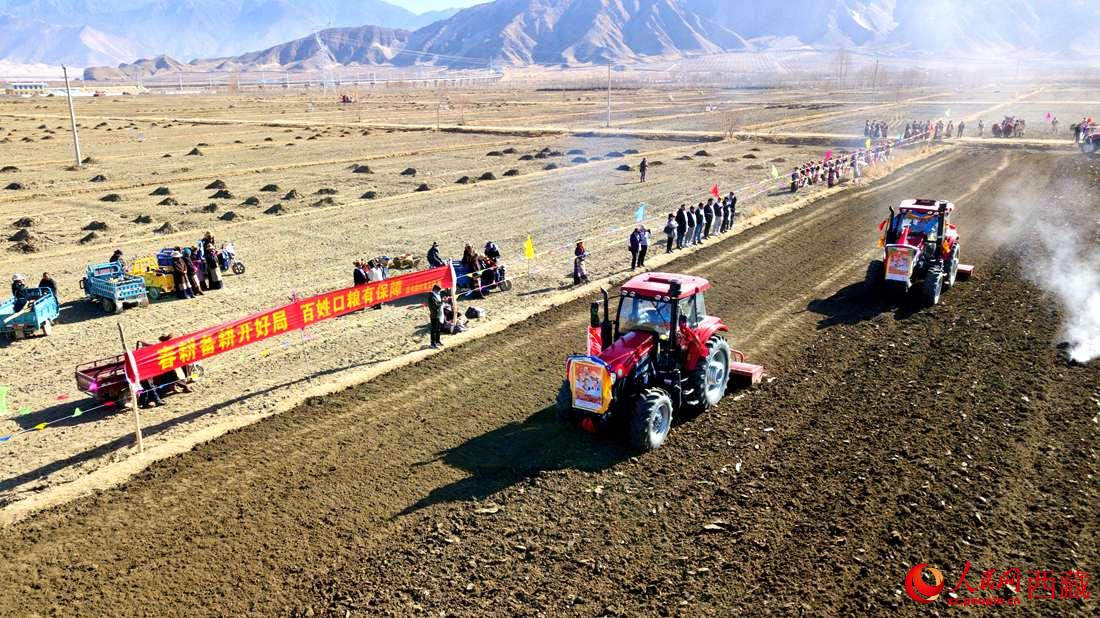 山南市扎囊縣扎其鄉(xiāng)孟卡榮村迎來(lái)春耕第一犁。人民網(wǎng) 次仁羅布攝