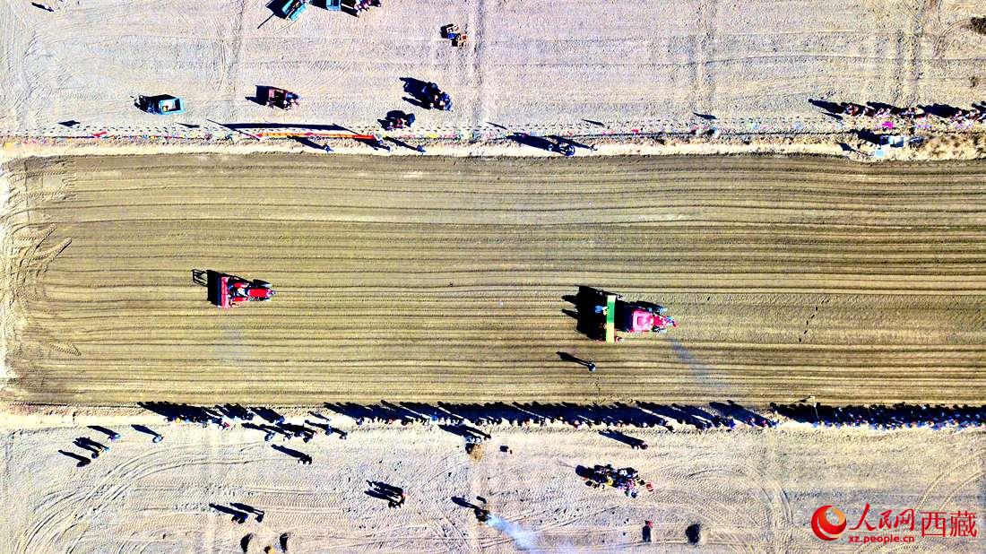 山南市扎囊縣扎其鄉(xiāng)孟卡榮村迎來(lái)春耕第一犁。人民網(wǎng) 次仁羅布攝