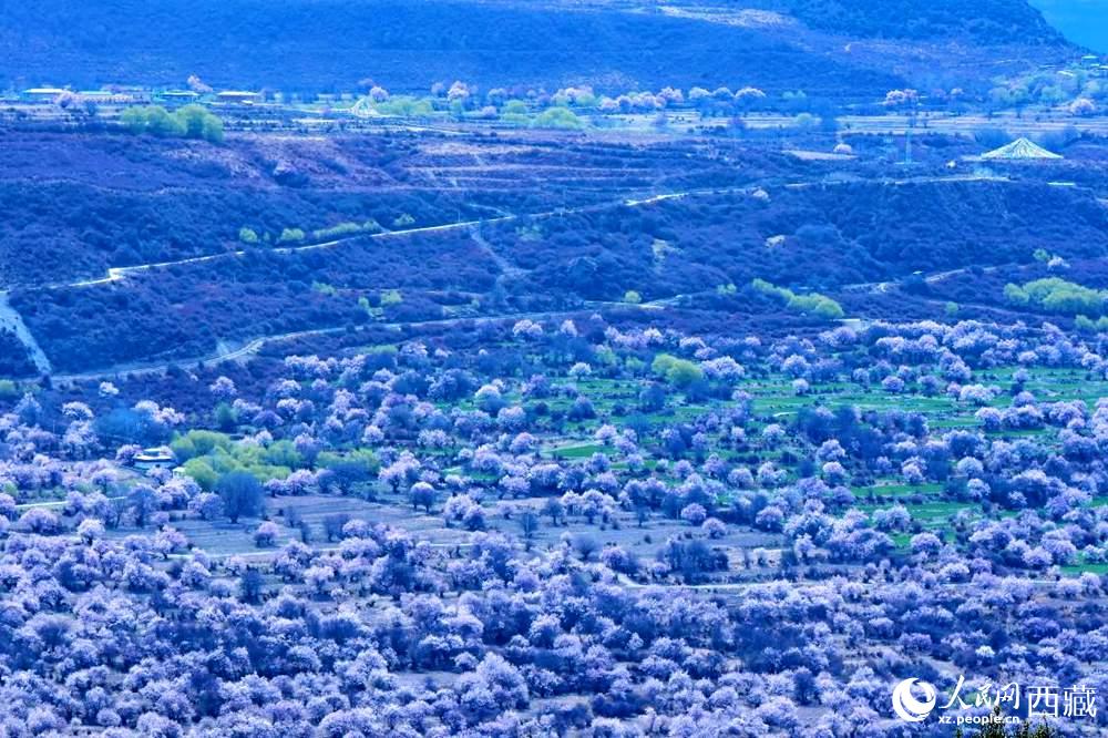 遠(yuǎn)眺“桃花村”。人民網(wǎng) 李海霞攝