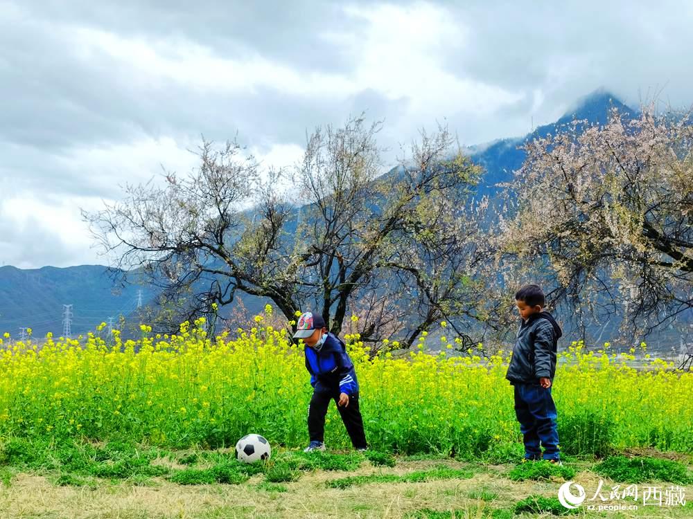 孩童在桃花下嬉戲。人民網(wǎng) 李海霞攝