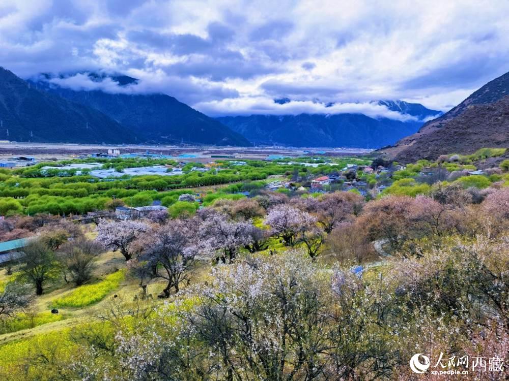 桃花從中的“童話小鎮(zhèn)”。人民網(wǎng) 李海霞攝