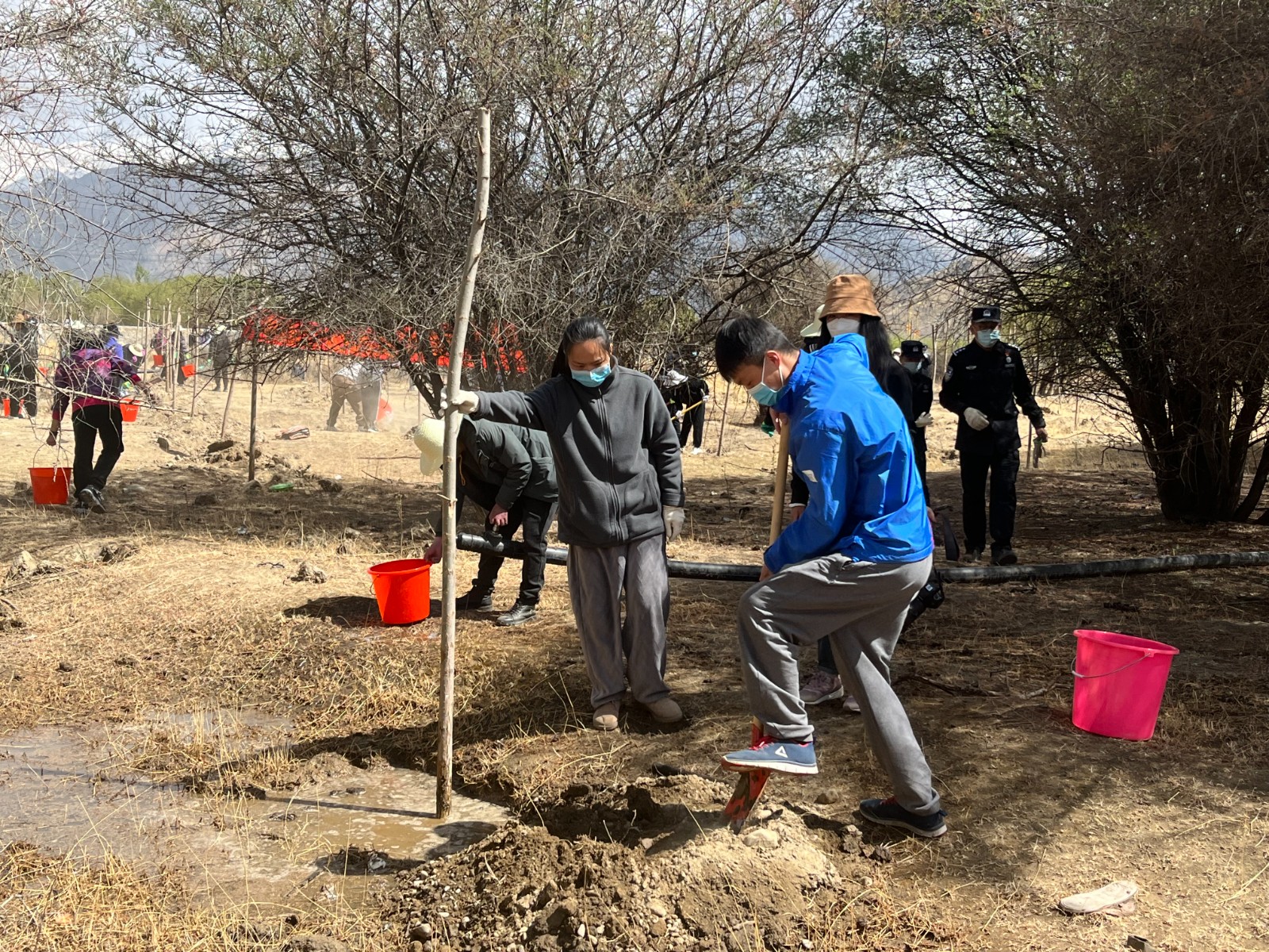植樹現(xiàn)場，大家分工明確，配合默契(2000565)-20220420090303.jpg