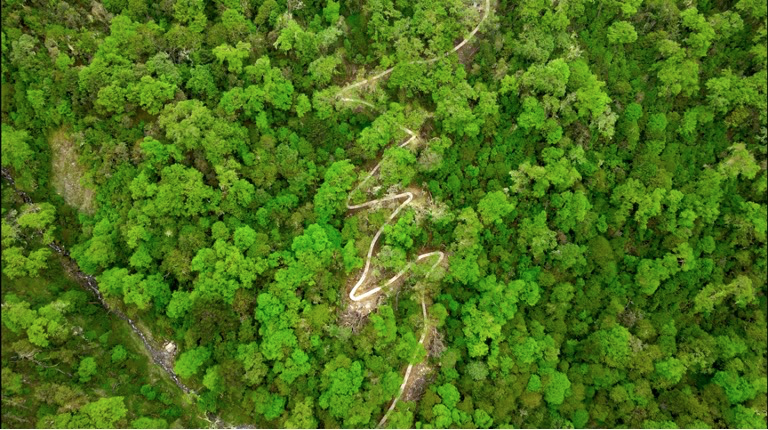 大美邊疆行丨西藏:固邊興邊富民 打造高原邊疆美麗新畫(huà)卷