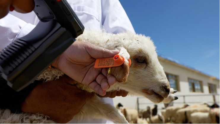 大美邊疆行丨西藏:固邊興邊富民 打造高原邊疆美麗新畫(huà)卷
