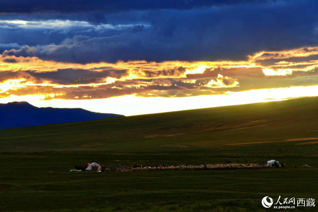 黃昏下的帳篷，牧民過著幸福生活。 人民網(wǎng) 李海霞攝