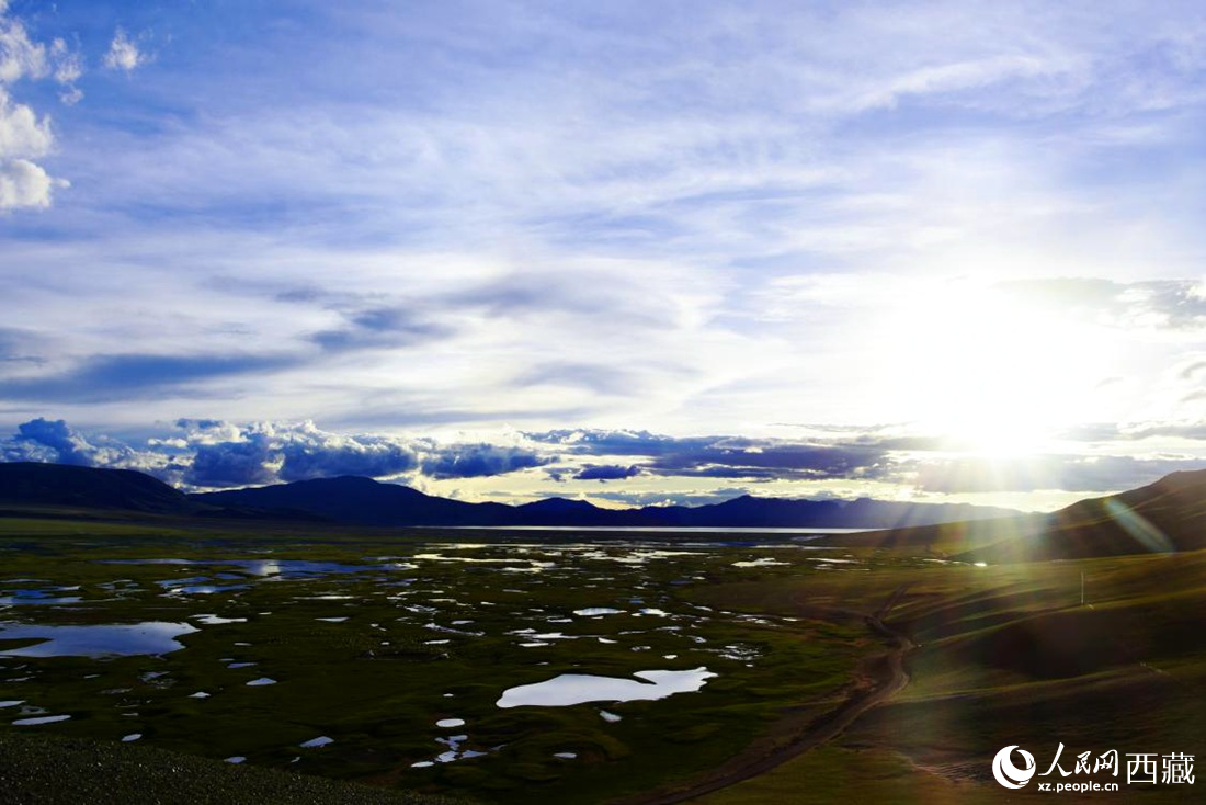 七月的羌塘草原處處是景。人民網(wǎng) 李海霞攝