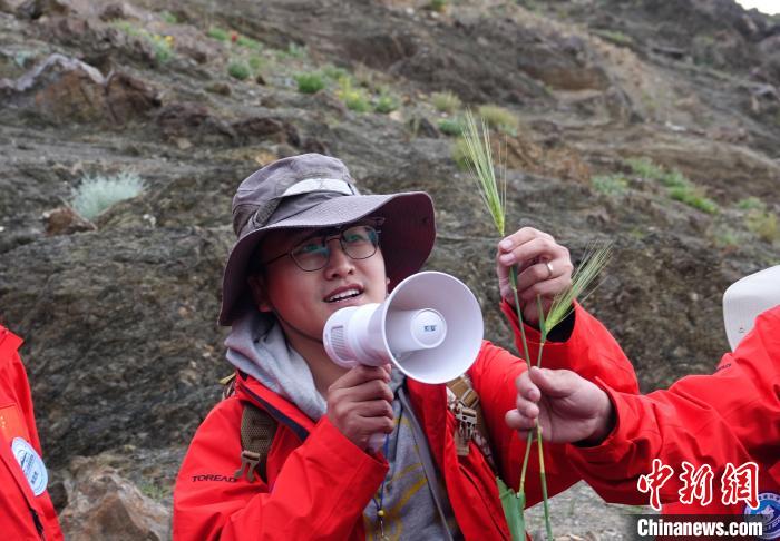青藏科考：青稞如何走上青藏高原？