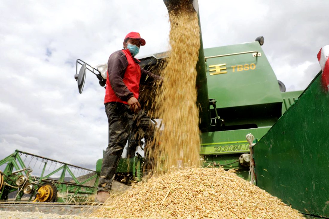 顆粒歸倉。洛克攝