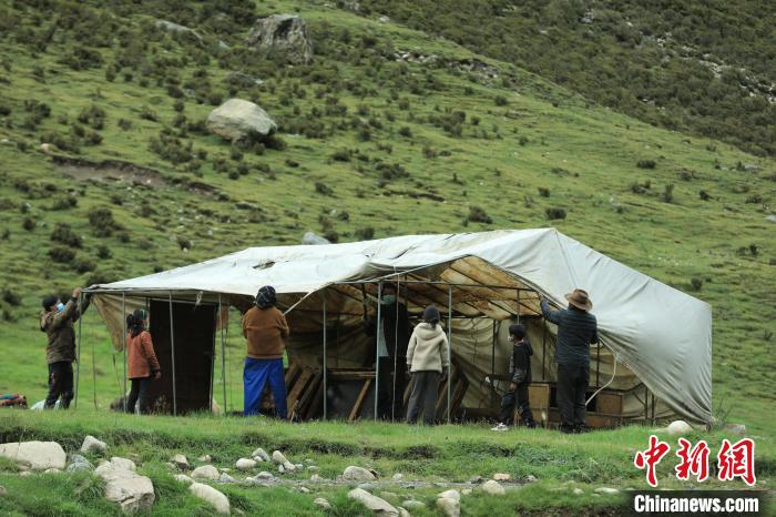 圖為牧民們?cè)谇锛灸翀?chǎng)搭建帳篷?！÷蹇?攝