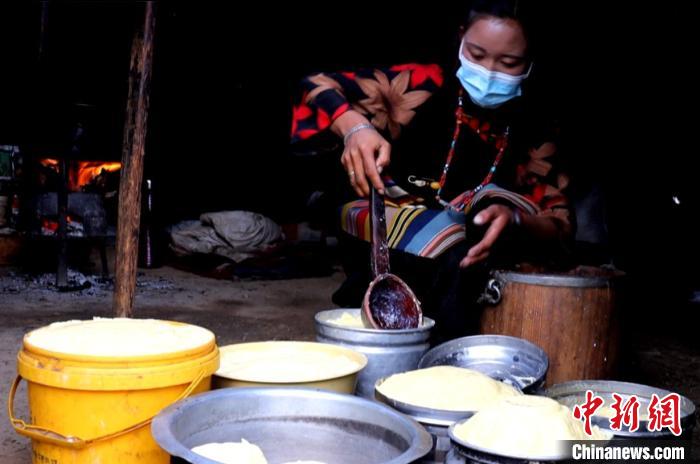圖為牧民正在制作酥油?！∪湛t文聯(lián)供圖