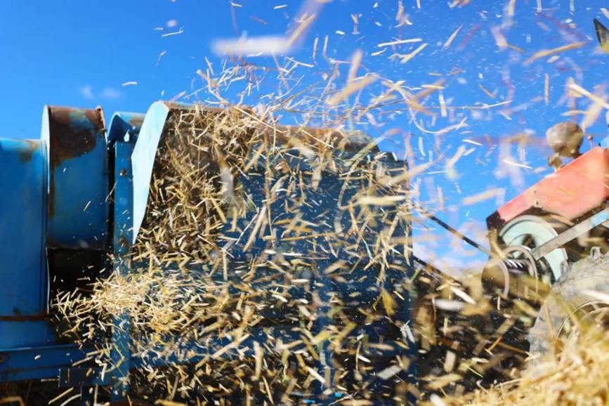 西藏吉?。簬愠两襟w驗(yàn)秋收打場(chǎng)【7】