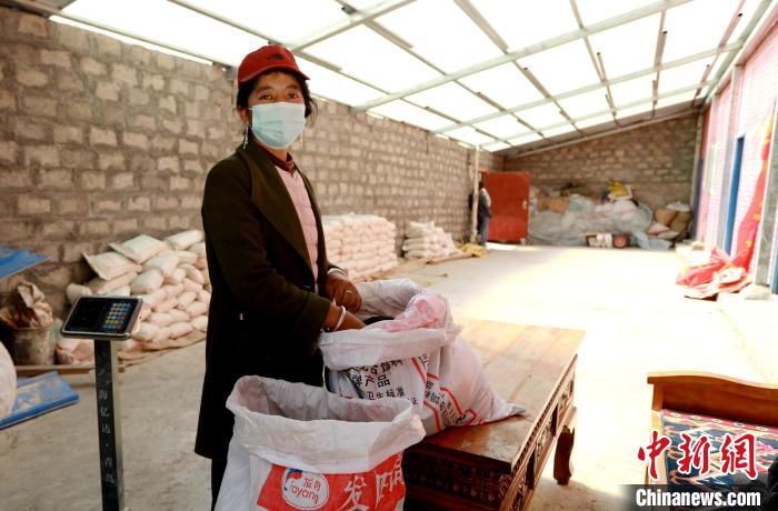 圖為寧重崗村村民扎西才措把自家的油菜籽送到合作社銷售?！〖卫杩h融媒體中心供圖