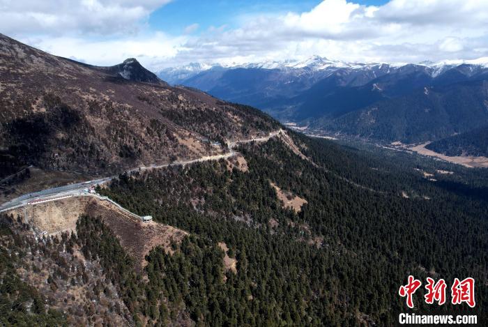 2月17日，西藏林芝魯朗林海。(無人機(jī)照片) 李林 攝