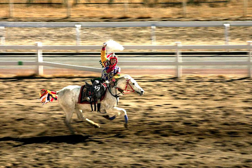藏歷新年，精彩的馬術表演。張靜攝