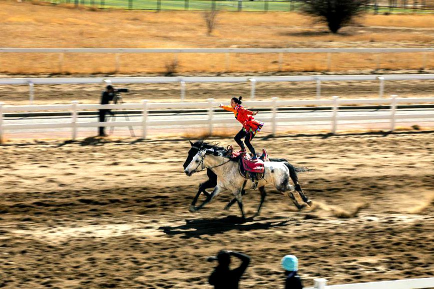 藏歷新年，精彩的馬術表演。張靜攝