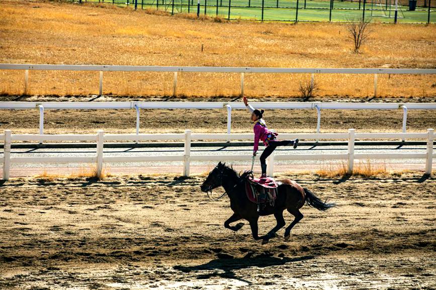 藏歷新年，精彩的馬術表演。張靜攝