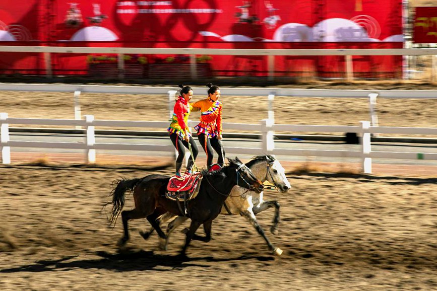 藏歷新年，精彩的馬術表演。張靜攝