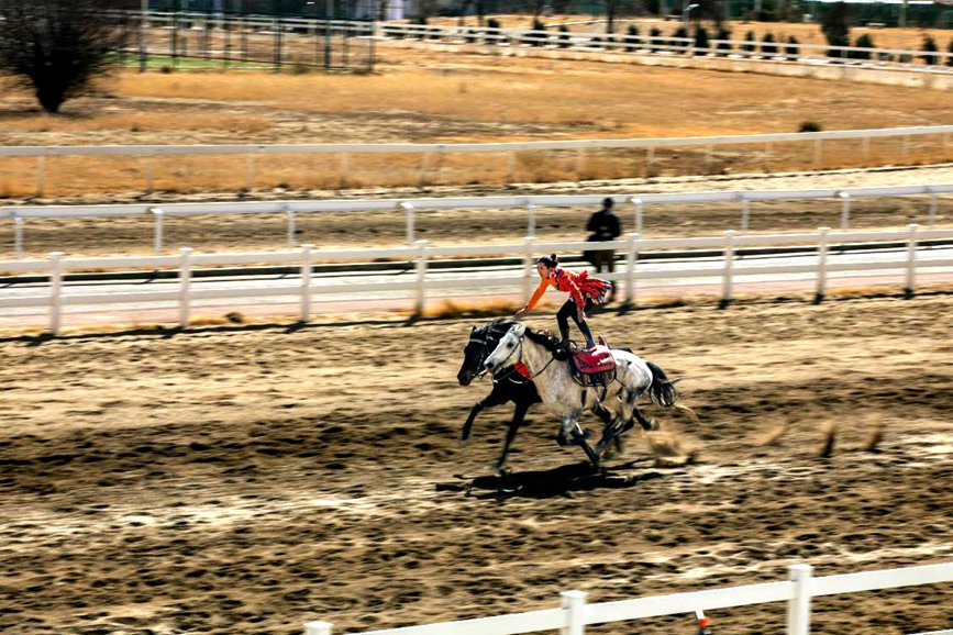 藏歷新年，精彩的馬術表演。張靜攝