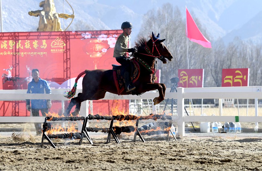 藏歷新年，精彩的馬術表演。潘多攝