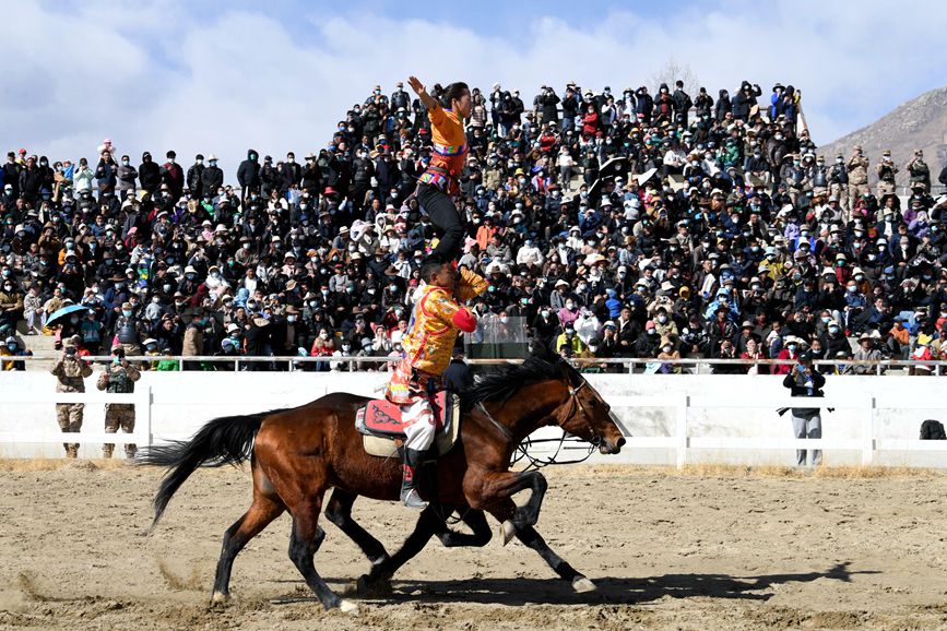 藏歷新年，精彩的馬術表演。潘多攝