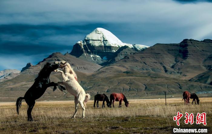 圖為參展攝影師拍攝的西藏阿里岡仁波齊?！≈鬓k方 供圖