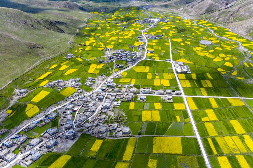 航拍道布龍村，依山傍水，阡陌縱橫。