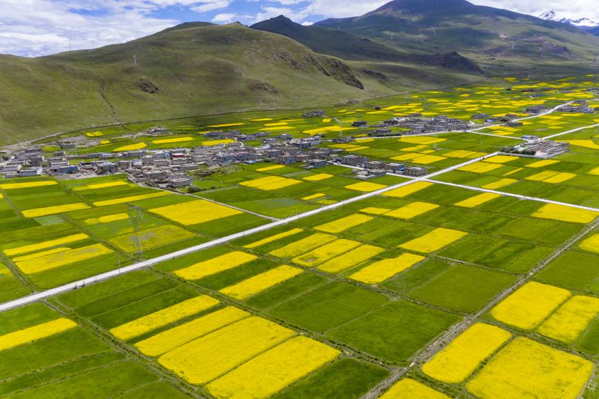 航拍道布龍村，依山傍水，阡陌縱橫。