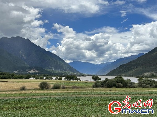 我們的家園｜林芝米林縣：河長護(hù)藥洲，碧水映花谷