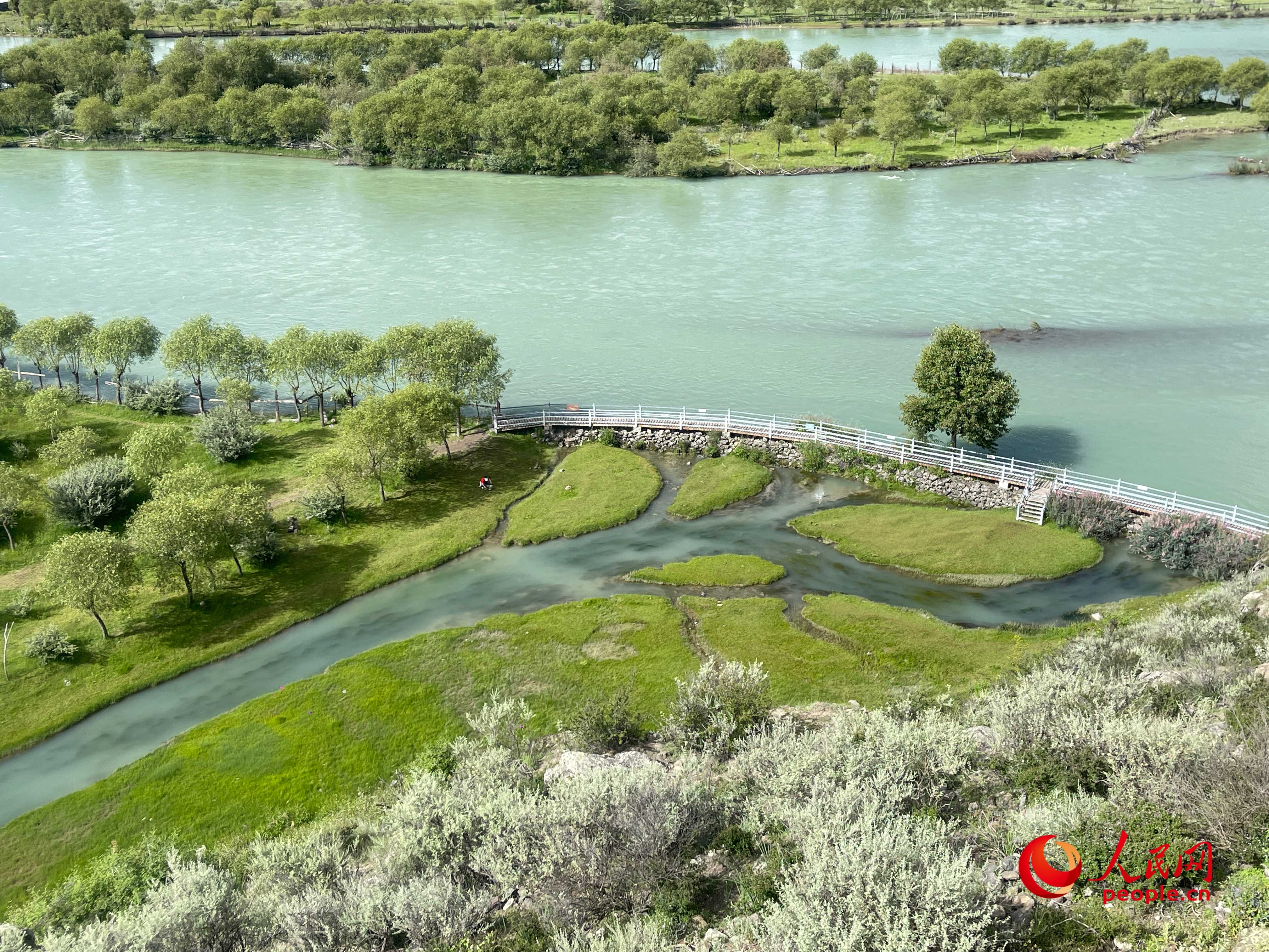 夏日的雅尼國家濕地公園生機(jī)盎然，如詩如畫。人民網(wǎng) 周靜圓攝