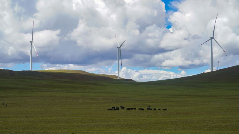 西藏措美哲古風(fēng)電場首批3.6兆瓦風(fēng)電機組并網(wǎng)發(fā)電。受訪者供圖